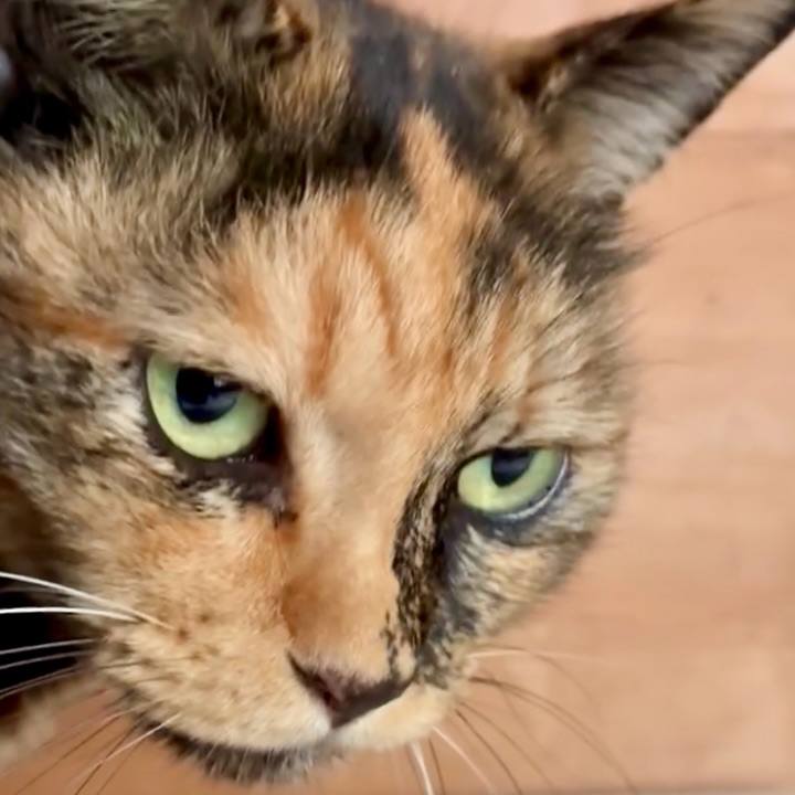 750faece aba9 4a71 9890 3ff98866a664 1761018551923