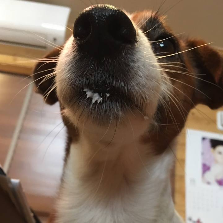 750fc749 0cf3 4121 babd 716e0dc57b94 1513086889615