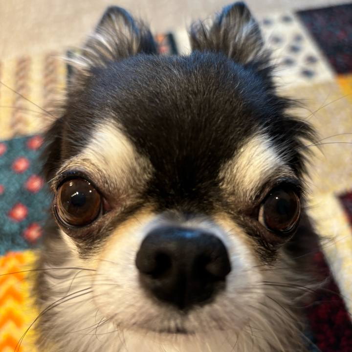 750fd237 43d9 49bc a38c 65133e86511e 1722724381043