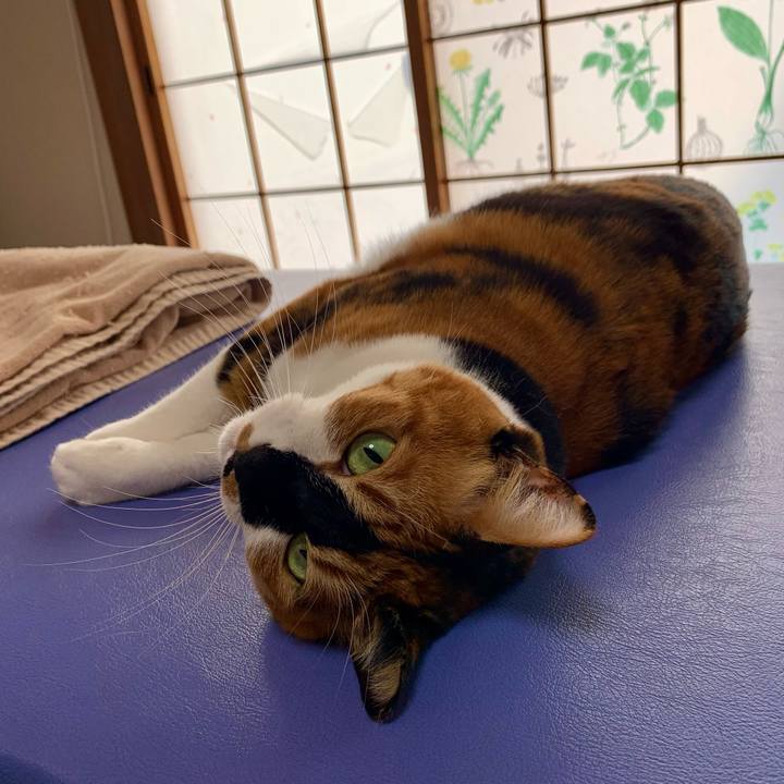 750fe80a 50b1 4124 9c1d 4df6f8f7fd85 1607778419398