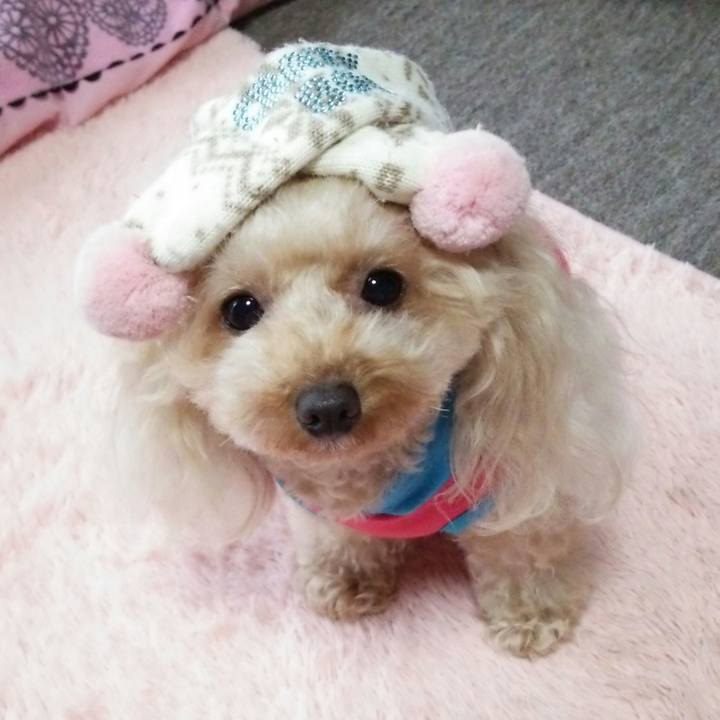 75101d24 e540 4adb 8321 551d97177412 1539944557082