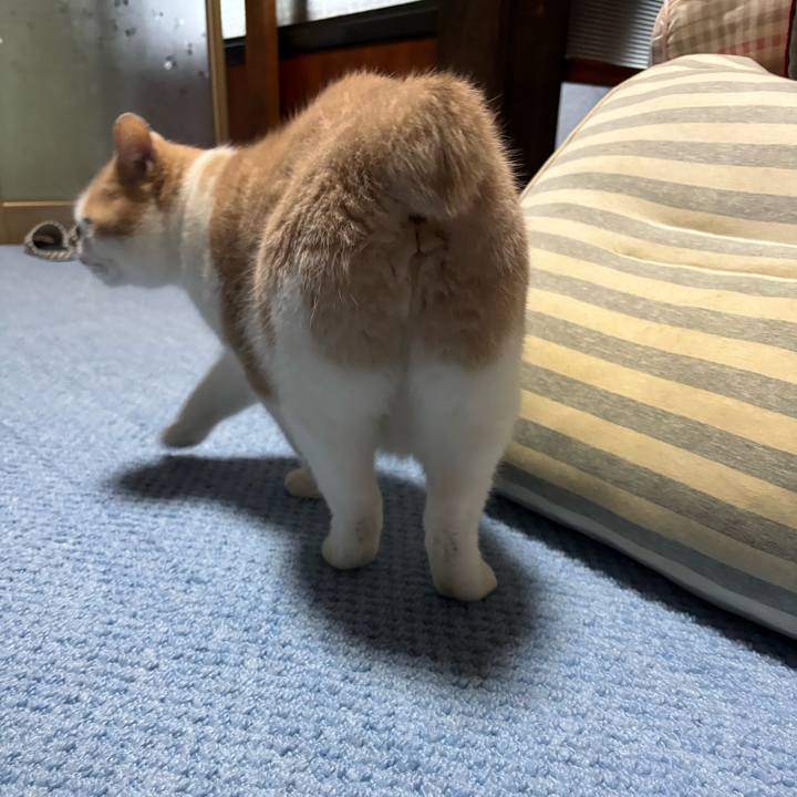 75104918 e426 4add 9261 864affd946e8 1769386938046