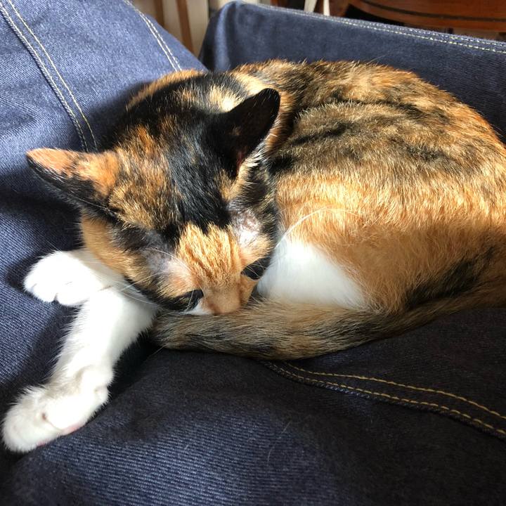 751075a4 4959 42ff 8334 9ed5f960ef43 1532166228295