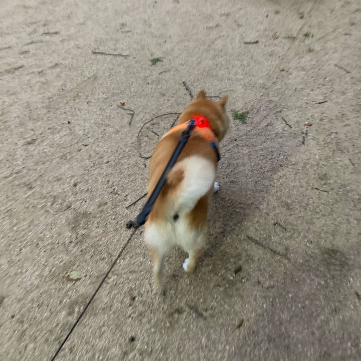 751078fa 331a 48fa a129 cdf724ff05cb 1629115026621