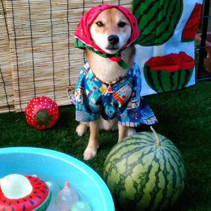 751098a2 1c74 4423 b04b c89d8ee9c545 1533342179414