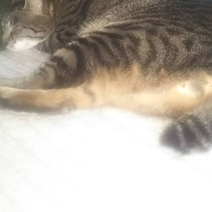 7510a7e0 471f 4ad2 98b0 0d24d853c1c6 1622624367485