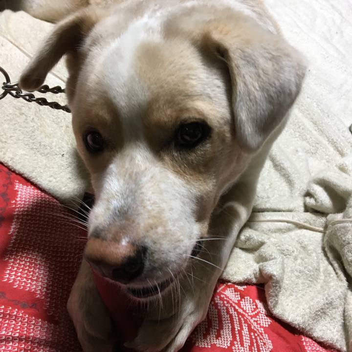 7510aed1 4e5e 4658 8dbc cc6d9e4d15f9 1508933409503