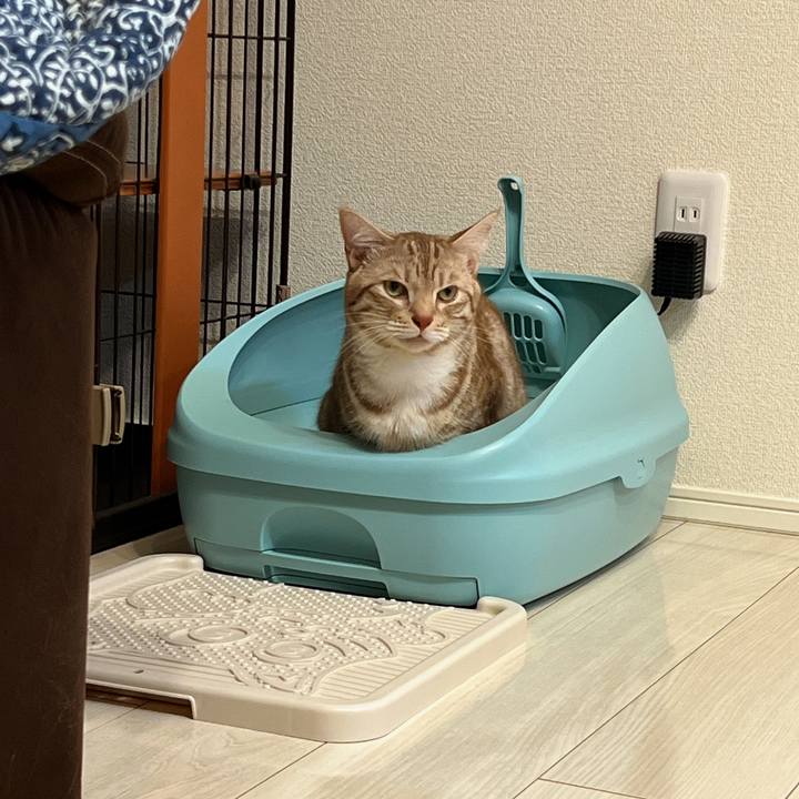 7510de3c b0b8 45bb b23a 8df400786b74 1691325615175