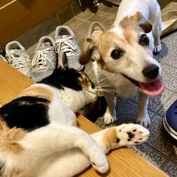 7511088c 3954 4596 bc6d efb32b80abbc 1723725083663