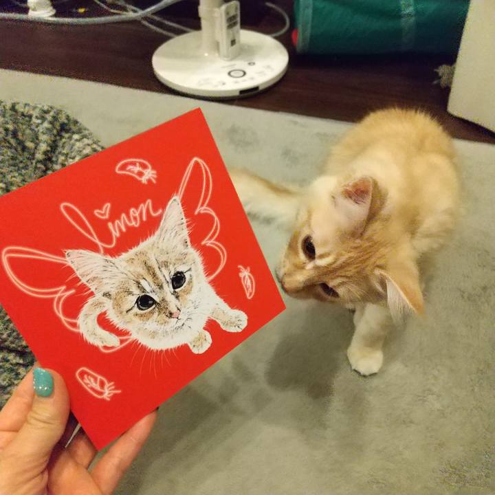 751112ea ae19 41b3 897c 538d2a873762 1610667482253