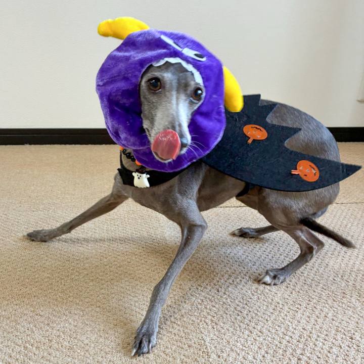 751122e6 3857 4072 9bc2 59f328722489 1761910216635