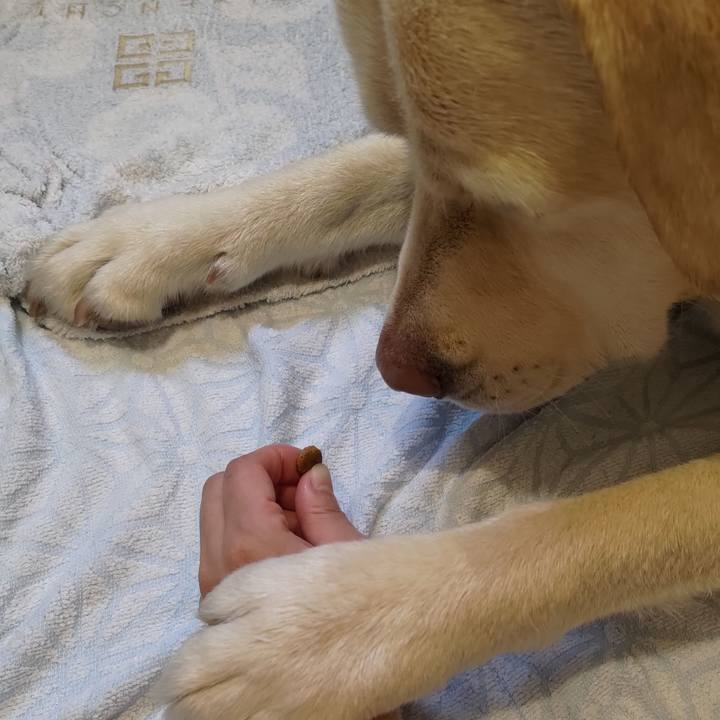 751175f9 db23 4883 8af6 bc192eb7a974 1645357095187