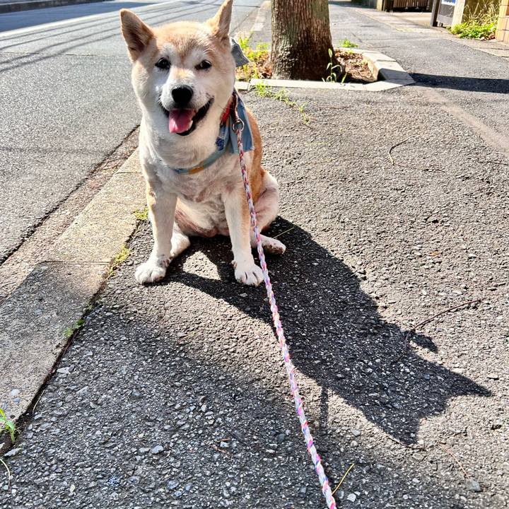 7511b394 5d9d 45d6 9fba 075c0997269b 1750983664878