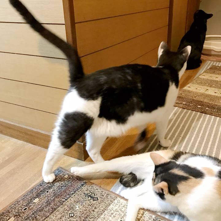 7511d312 3360 4cfb acf3 28a39d2df9c0 1536850516986