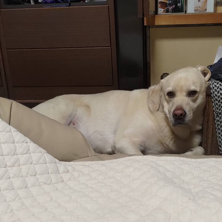 7511ddb0 4657 48d8 b6e9 1a874e067016 1659074255874