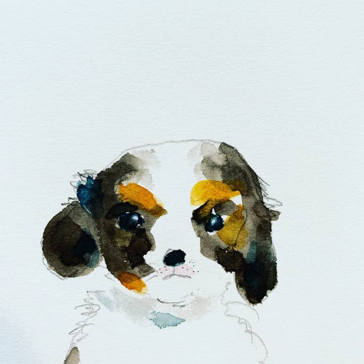 7511de84 4503 471a a510 19363d60209a 1587190486570