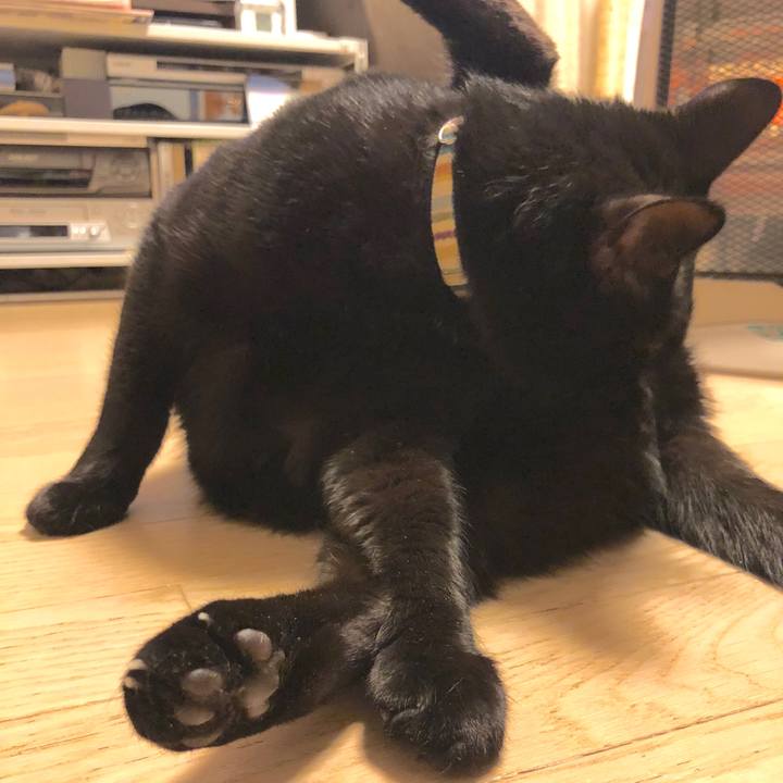 75122269 16de 4857 bf28 e52fd4c124e7 1517232400760