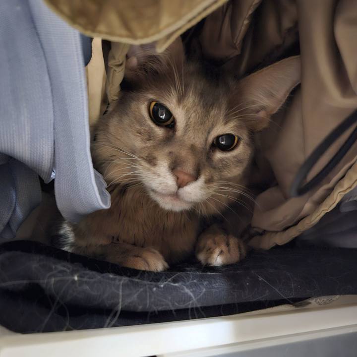 75123703 eb18 4771 b13a f3450bfab429 1740582618309