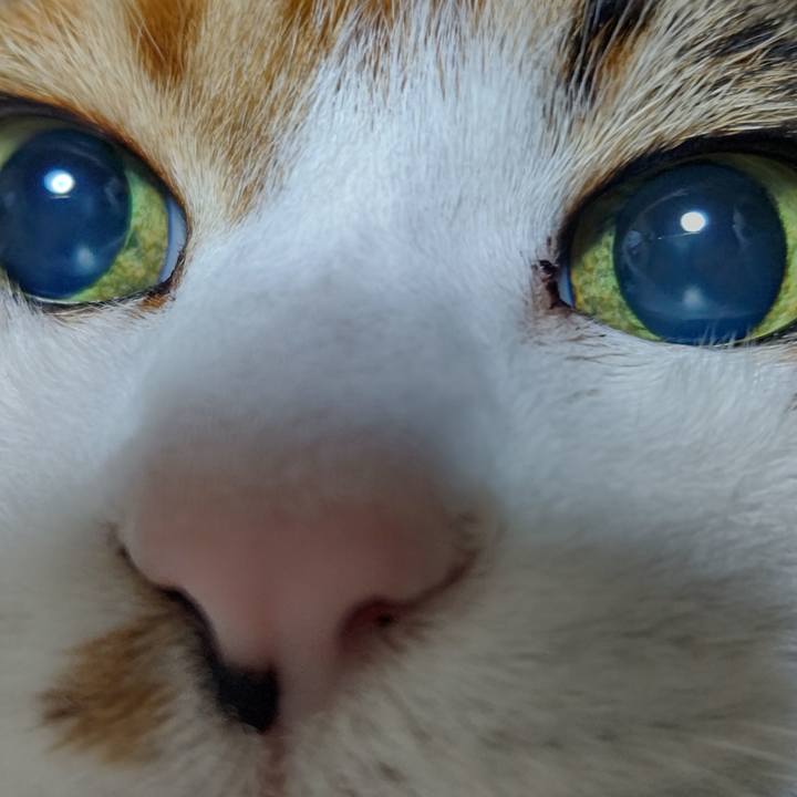 75126ca1 6c54 44c7 8b4c e54534f1b539 1643123542624