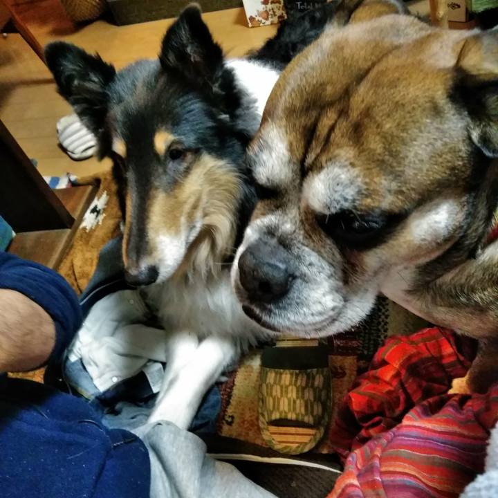 751276af fb67 48f9 aa40 8efe1cf28fb6 1513350556494