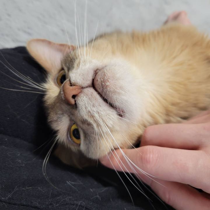 7512ab7a 074a 4607 8d05 de2ee24146fd 1648723324416