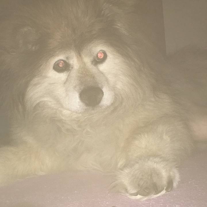 7512c95d 2385 4f5f a1a8 453ea92544db 1601608498314