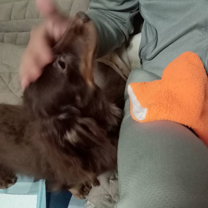 7512dc0b 940e 4a69 afdd 8a7eccc10872 1765834495711