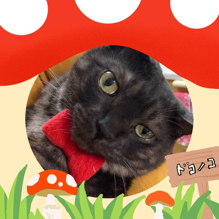 7512ec40 c5e0 4746 b96f 5ee24c8710b6 1729906907355