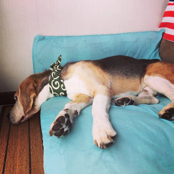 7512f1d2 9ecb 4425 8f60 f0932d555601 1564921201754