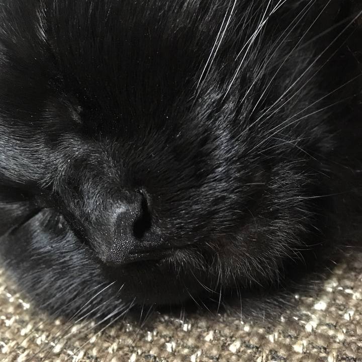 75132489 f6e3 4c8f 8642 fba48d5dbc83 1514942392116