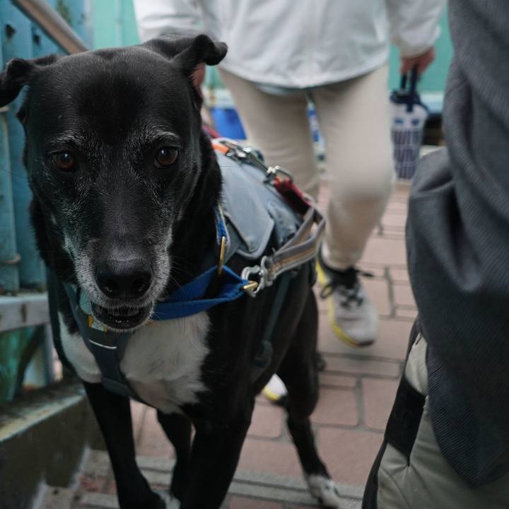 751334f6 1c34 466e 8ced 5ed44ac2ca68 1761871203371