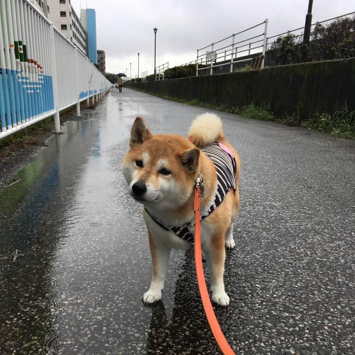 751374f2 0ec5 489c ab03 e845d8d6c7cf 1563253266135