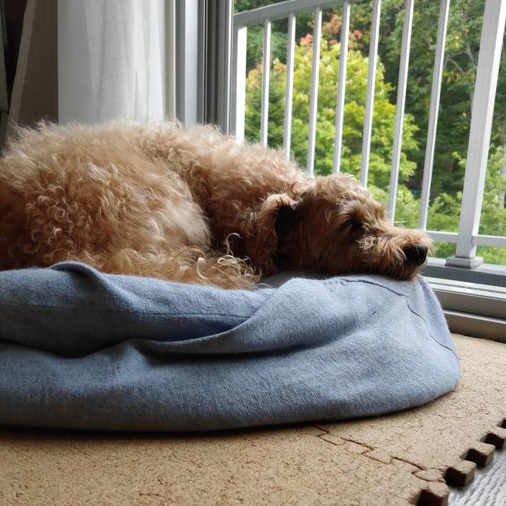 7513ac96 4940 4b25 b59c 791d74607c68 1597877964785