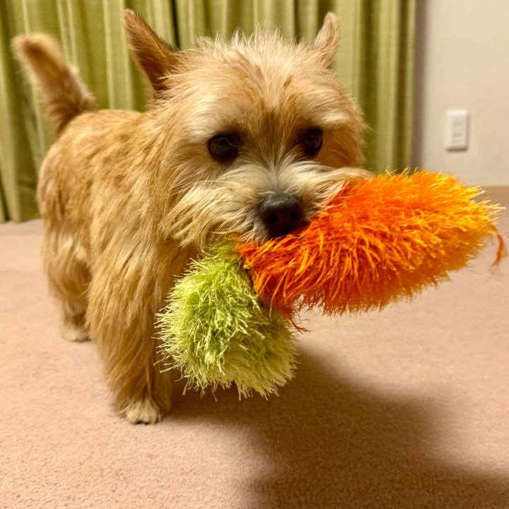 7513b844 8ae4 43af ab2e 7702144d5b85 1761917461256