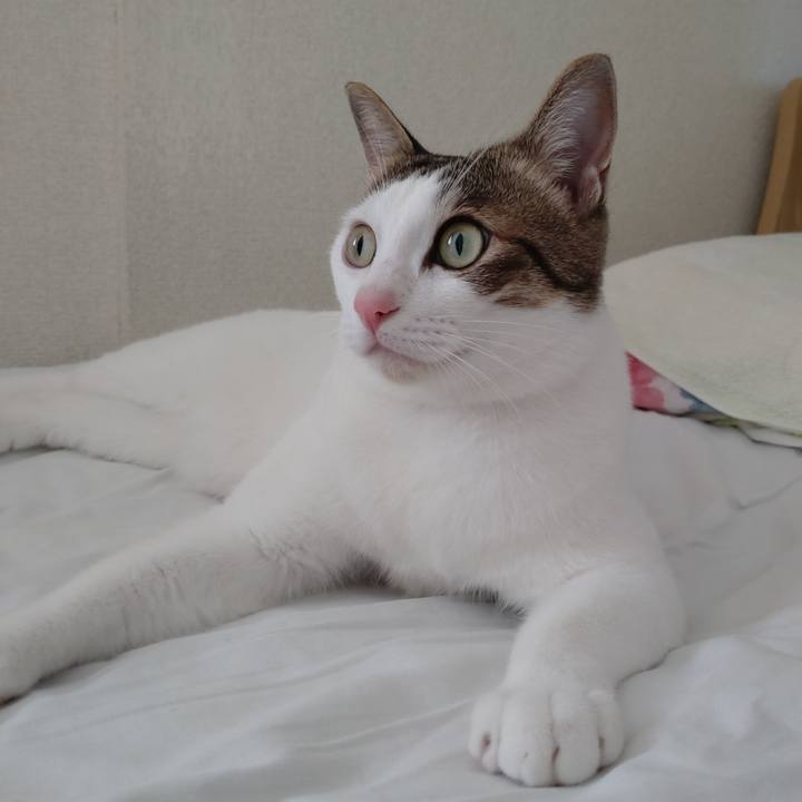 7513e7c3 8a70 4b0e 81bc b4b8d84225f3 1726716909615