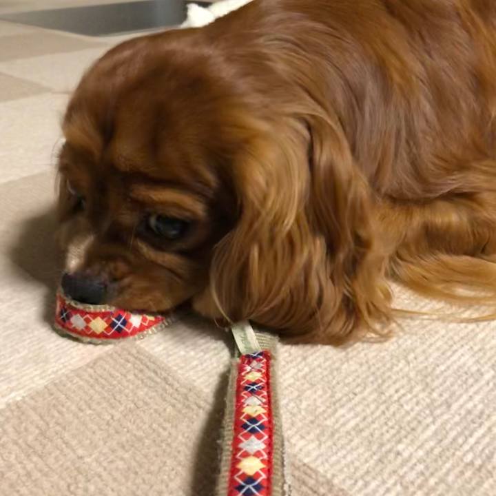 751407e4 9a77 4ba8 888d cc66b5e295f2 1599602859669