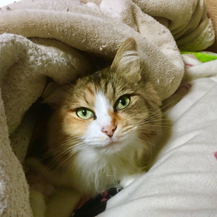 75143bd8 1901 4149 9eea 38dfe5890439 1563697868249