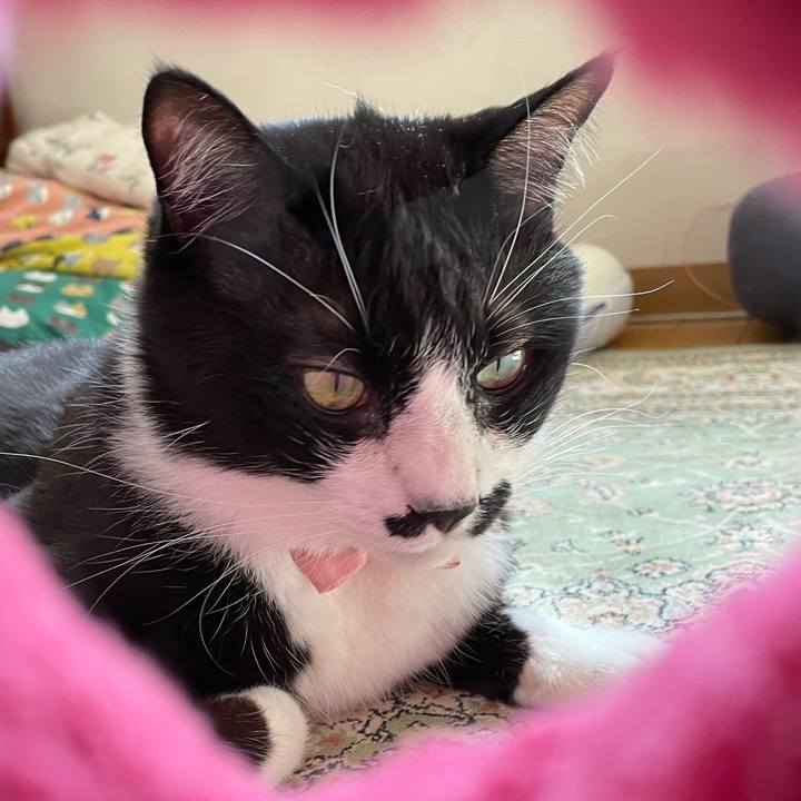 75143dab 3d91 4a83 8776 34f94b1708a9 1745884777382