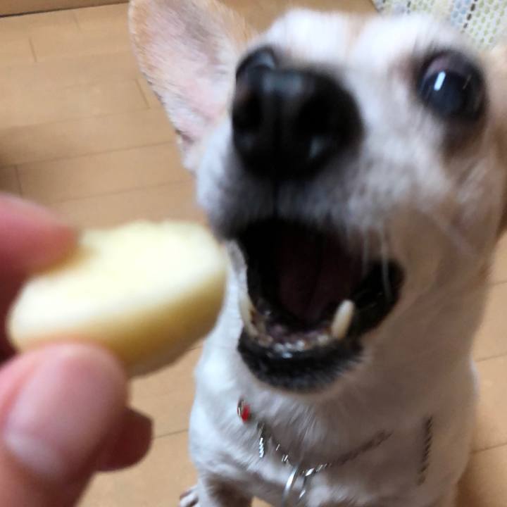 75144dc1 04c5 4963 908f f3a147642e19 1531747402633