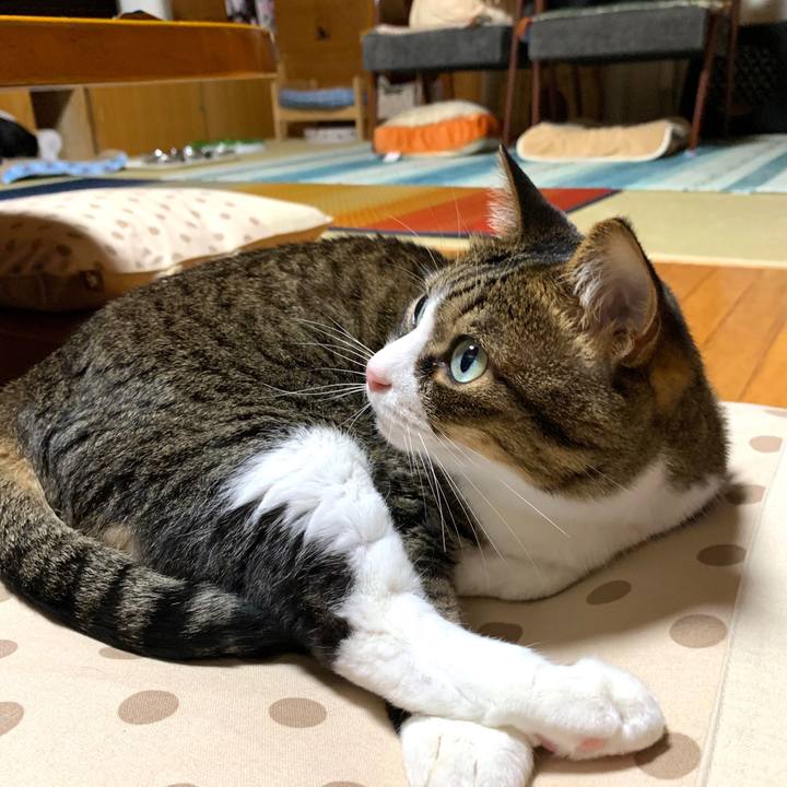 751476e2 5434 4cf1 82b6 c29e39224286 1593948826425