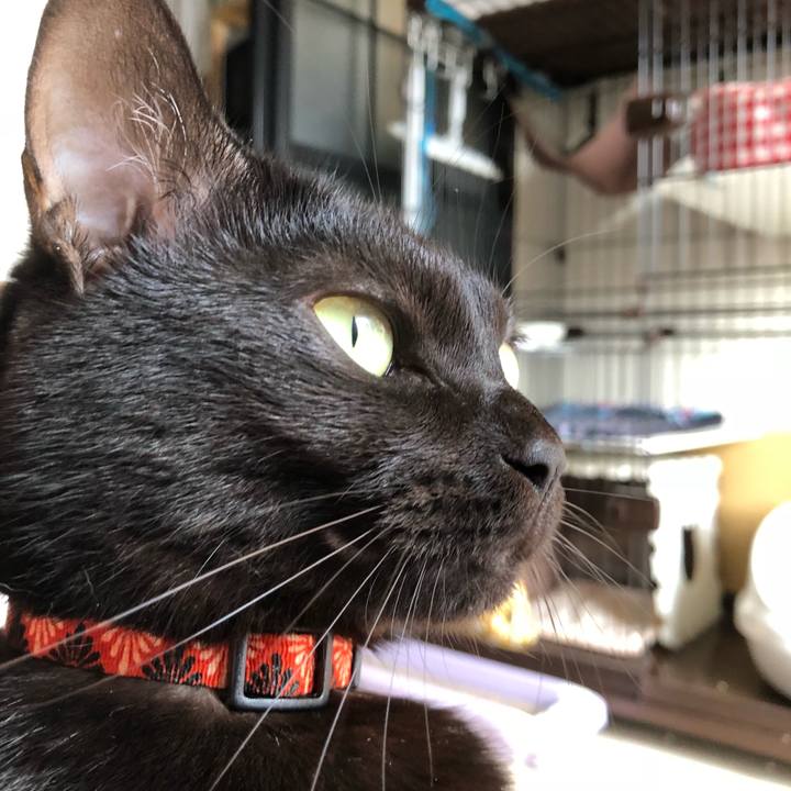 7514afdf 098e 4700 8fb5 c624be443336 1540613673902