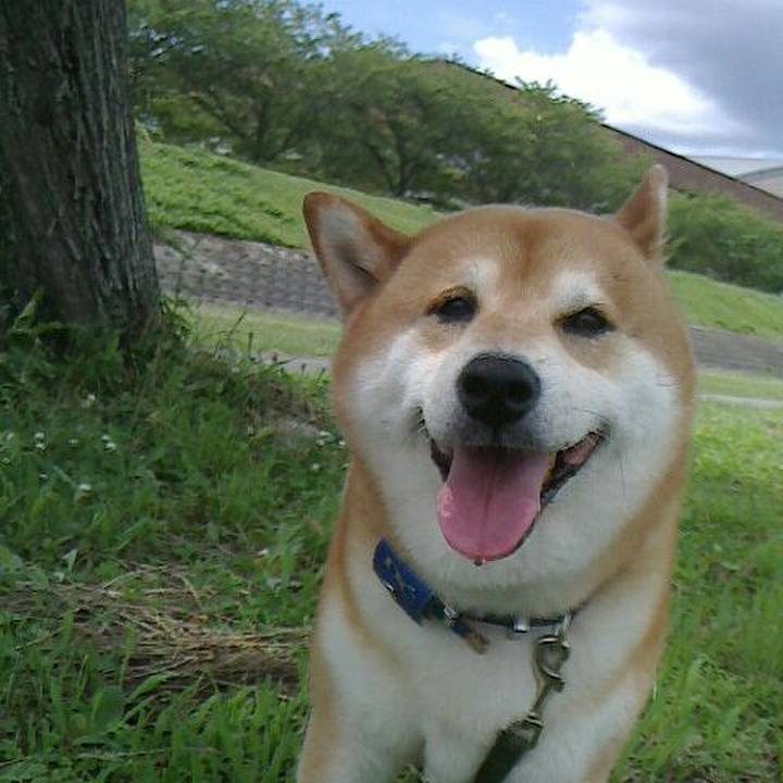 7514bd12 110d 496b bd21 09b840c61c5f 1562471951472