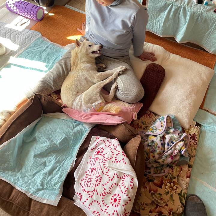 7514ccf0 20c0 4d1d 8536 090cbb644ca3 1676603988144