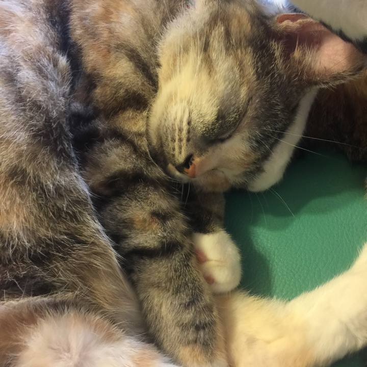 7514cfb2 e6d6 4549 8166 b376e759bf85 1567630028796