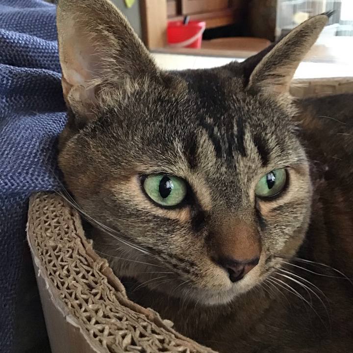 7514ea68 a680 4955 99d8 7390bec2f1c8 1742970543495