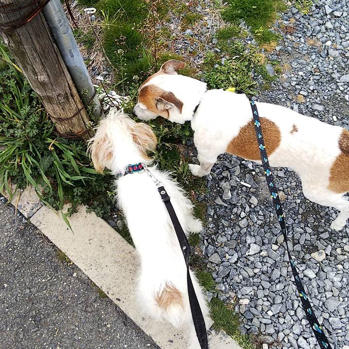 7514f23d 024e 4069 8926 7300e93b570a 1552208189120