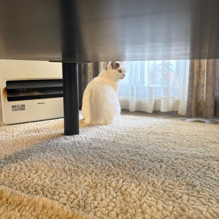 75157644 ad48 4743 8504 79d375036819 1769041629184