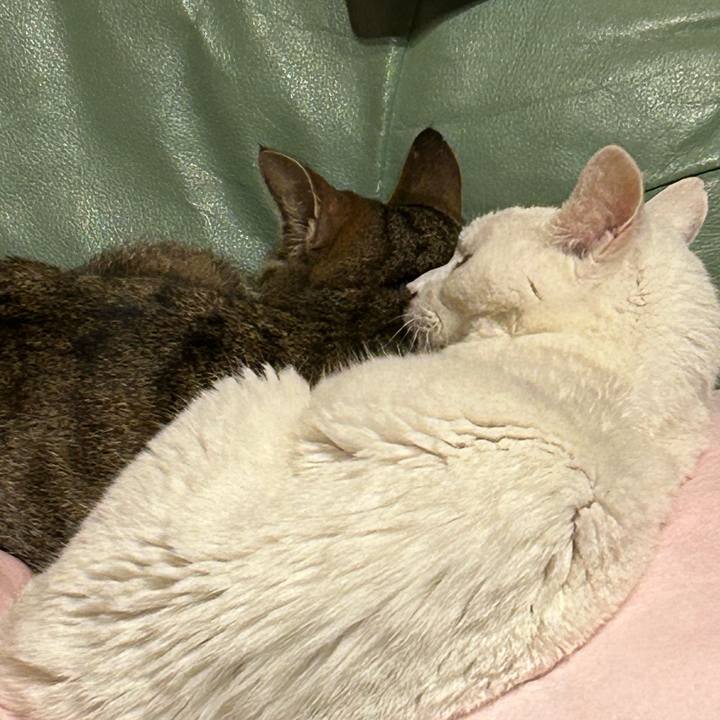 751579a3 552d 4c01 a0c3 59d227d6b323 1702128233096