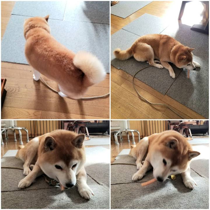 7515c021 f4d4 443a 8525 0ad0273b0cdb 1610676782986