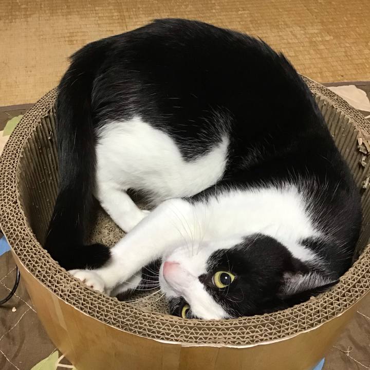 75163f83 68be 495b bcbd 3f6fa17681da 1762672325844